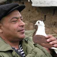 Беломорканал - скачать песни