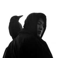 масло черного тмина - скачать песни