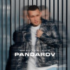 PANDAROV