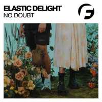 Elastic Delight