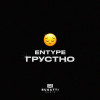 ENTYPE