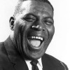 Howlin' Wolf