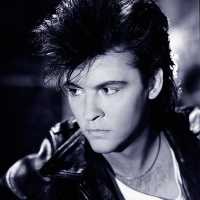 Paul Young