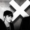The xx
