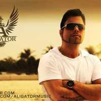 DJ Aligator - скачать песни