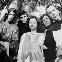 Gorky’s Zygotic Mynci - скачать песни