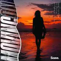 Nexeri, Methner feat. Sachi Holla - Moving On