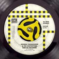 George Thorogood & The Destroyers - Bad To The Bone (Album Version)