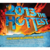 Various Artists - 2013 The Hottest