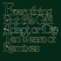 Everything but the Girl - Blame (Fabio Remix)