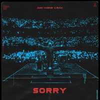 Alan Walker, ISÁK - Sorry (Albert Vishi Remix)