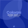 Sound Quelle - Deep Chicken (Original Mix)