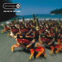 The Prodigy - Mindfields