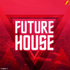Various Artists - Future House
