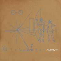 The Brian Jonestown Massacre - Panic In Babylon