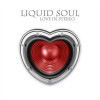 Liquid Soul - Love in Stereo