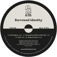 Borrowed Identity - Enter The Void