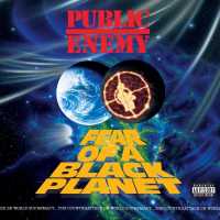 Public Enemy - Who Stole The Soul?