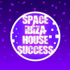 Various Artists - Space Ibiza House Success