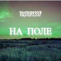 toster1337 - Карьера