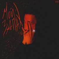 Стики - Лесная пудра (Original Mix)