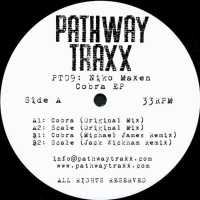 Niko Maxen - Cobra (Michael James Remix)