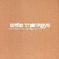 Arctic Monkeys - Baby I'm Yours