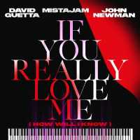 David Guetta, Mistajam, John Newman - If You Really Love Me (How Will I Know)