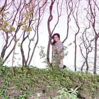 Ansée - Пилигримы