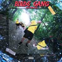 Birds Gang - Под водой