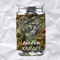 PALEVO - Хапает
