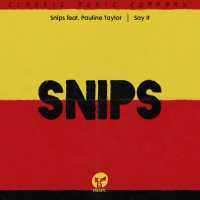 snips, Pauline Taylor - Say It (feat. Pauline Taylor)