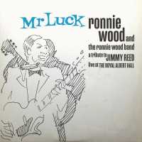 Ronnie Wood, The Ronnie Wood Band - Essence (Intro)