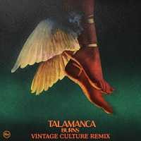 Burns - Talamanca (Vintage Culture Remix)