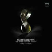 The Zurich Chamber Singers, Christian Erny - Virga Jesse floruit, WAB 52