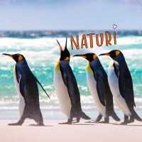 Blago White - VNATURI