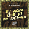 MC BN, MC GUTO VGS, Dj kl do abc - Eu Acho Que Vi um Gatinho