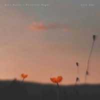 Alex Baker, Harmless Night - Each Day