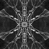 Deomid - Movida