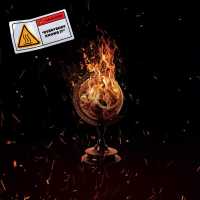 Halflives - everybody knows it