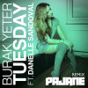 Burak Yeter, Danelle Sandoval - Tuesday (PAJANE Remix / Radio Edit)