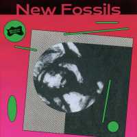 New Fossils - Reflections