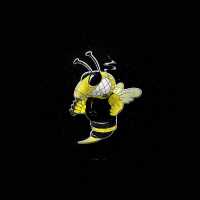 The Iron Bees, Проект ОИ - Я еду в отпуск