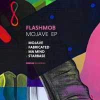 Flashmob - Mojave