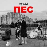Istokiya - Пёс