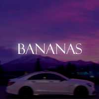 AMBASSADOR - Bananas