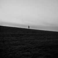 Гребенщик - В облаках