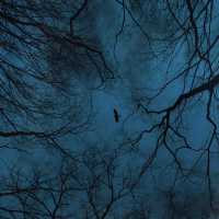 Plenka - and I feel you