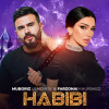 Muboriz Usmonov, Farzonai Khurshed - Habibi