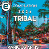 Various Artists - Compilation Tribal 2024